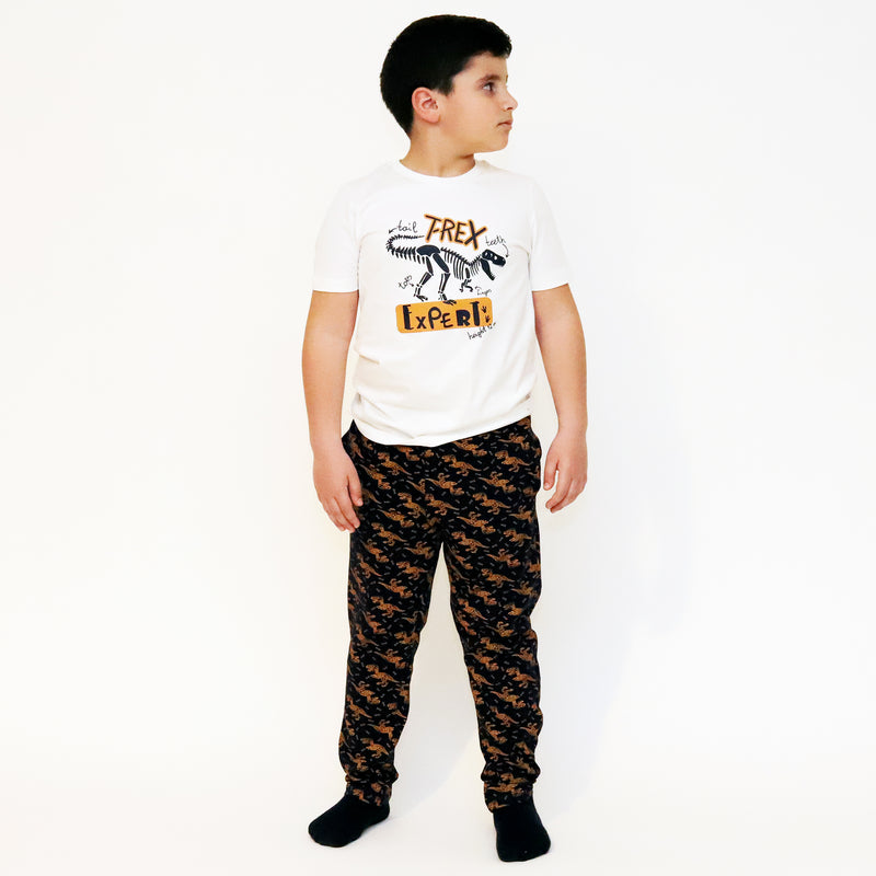 Cotton Jersey T-Rex Expert Print Short-Sleeved T-Shirt & Pants Set Pajama